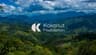 Kokonut Foundation - Public Goods Powered by Trees