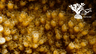 MesoReefDAO - Regenerating Reef Conservation with DeSci