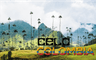 Celo Colombia